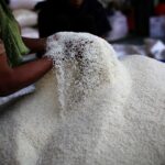 Swasembada Pangan sebagai Bukti Kekuatan Agraris Indonesia