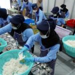 Pengawasan dan Transparansi MBG Jadi Prioritas Utama Pemerintah