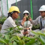 Triple Helix Pertanian: Hilirisasi Hasil Sinergi Pemerintah, Akademisi, dan Industri