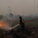 Anggaran Karhutla, Instrumen Cepat Menyelamatkan Rakyat