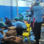 MBG Dinilai Mampu Hidupkan Kembali Aktivitas UMKM Daerah