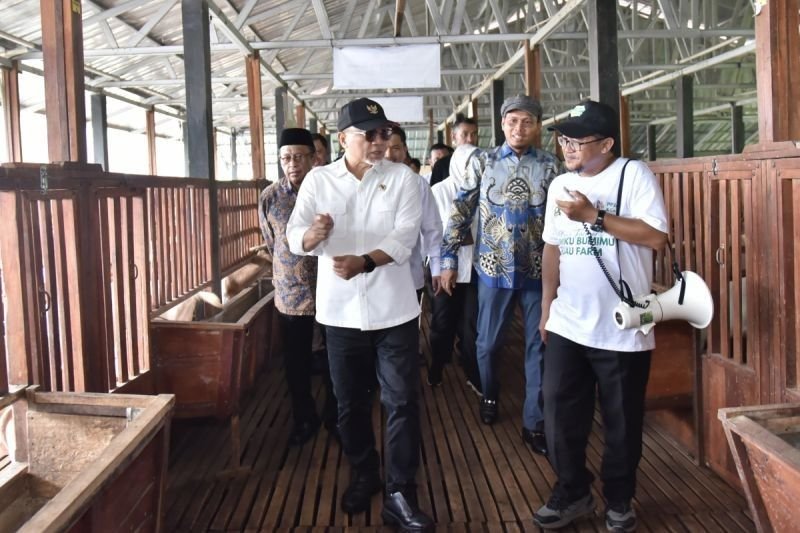 Ketahanan Pangan Dapat Dicapai melalui Sinergi yang Berkelanjutan