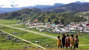 Masyarakat Papua Rasakan Dampak Bantuan Pemerintah untuk Usaha Mandiri