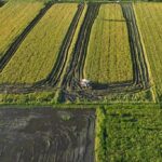 Cetak Sawah Papua Perkuat Ketahanan Pangan dan Buka Harapan Baru bagi Generasi Papua