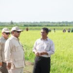Percepat Kesejahteraan Masyarakat Papua Pemerintah Cetak 2000 hektar Sawah