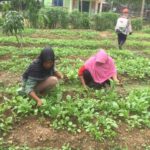 Desa Produktif Menjadi Kunci Ketahanan Pangan Nasional