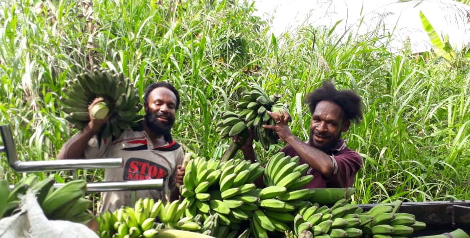 Petani Papua Dukung Program Cetak Sawah untuk Perkuat Ketahanan Pangan