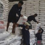 Pemerintah Perkuat Distribusi Pupuk Subsidi untuk Jaga Ketahanan Pangan