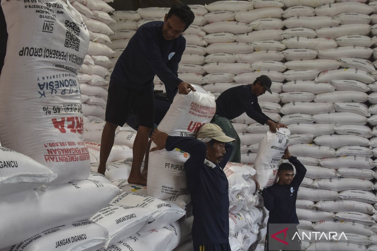 Pemerintah Perkuat Distribusi Pupuk Subsidi untuk Jaga Ketahanan Pangan