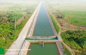 Ketahanan Pangan dan Mitigasi Kemarau Menjadi Prioritas, Jaga Produksi Nasional