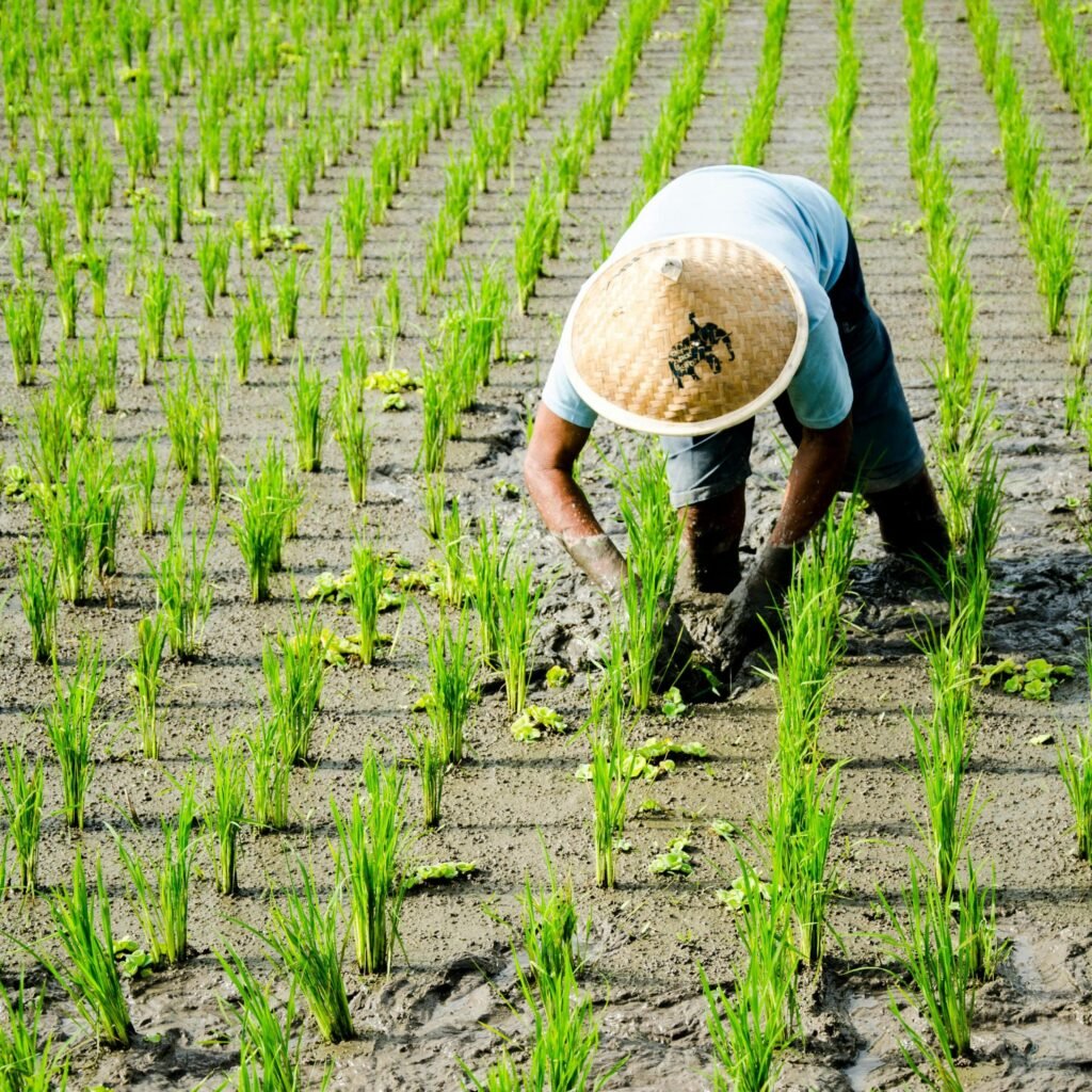 Menguatkan Desa, Menyejahterakan Petani, Mewujudkan Kedaulatan Pangan