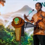Pemerintah Dorong Sektor Kehutanan Jadi Motor Perdagangan Karbon Nasional