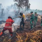 Karhutla Ditangani dengan Ilmu, Anggaran, dan Komando Terpadu