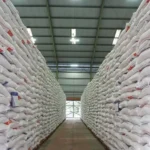 Pemerintah Perkuat BULOG untuk Jaga Swasembada Pangan dan Stok Nasional
