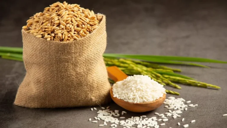 Jaga Produksi Pangan, Pemerintah Perkuat Asuransi bagi Petani