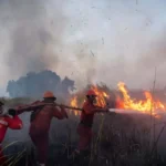 Mengawal Penegakan Hukum Korporasi Karhutla demi Melindungi Masyarakat