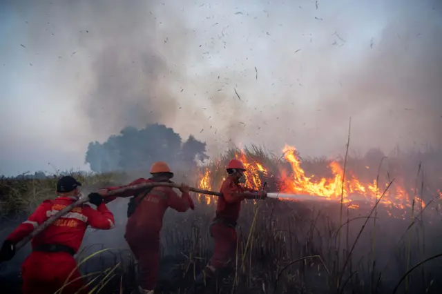 Mengawal Penegakan Hukum Korporasi Karhutla demi Melindungi Masyarakat