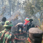 Dari Karhutla hingga Bencana Alam, TNI Perkuat Pengabdian untuk Masyarakat