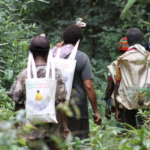 Dialog Tokoh Adat Jadi Kunci Bangun Kepercayaan dalam Pemulangan Pengungsi di Papua