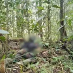 Apresiasi Penindakan Apkam terhadap Komandan OPM di Maybrat